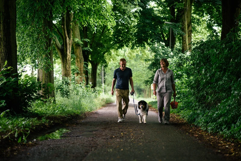 Zwei personen gehen im wald mit einem hund spazieren